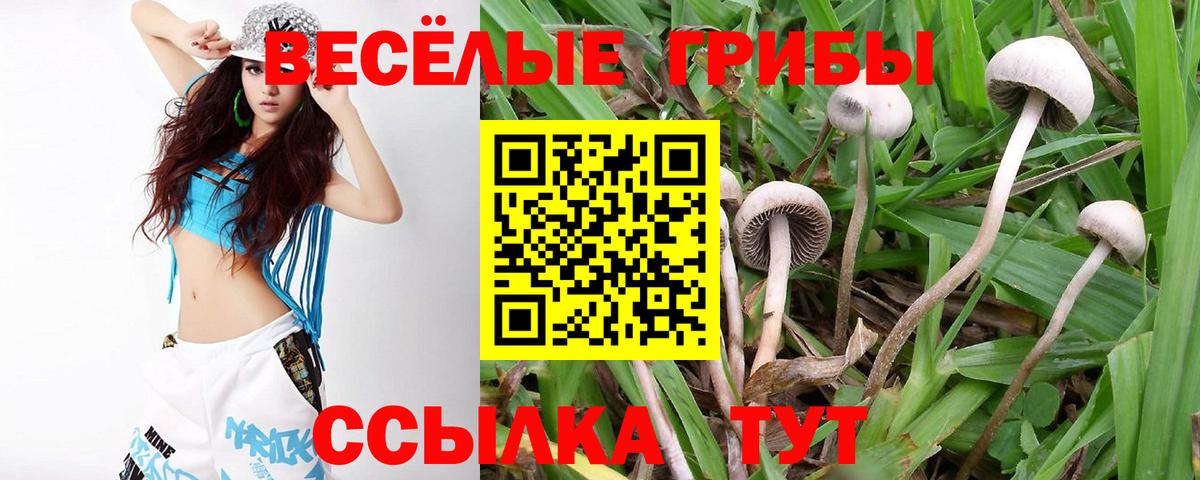 Галлюциногенные грибы GOLDEN TEACHER Воркута