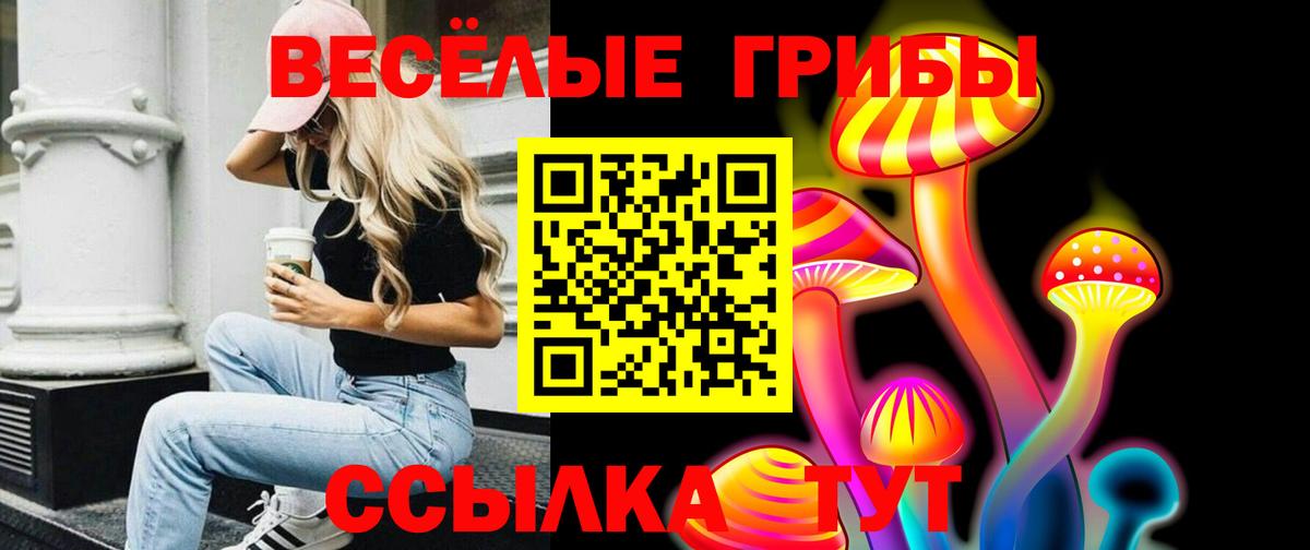 Псилоцибиновые грибы Cubensis  Псилоцибиновые грибы мухоморы  наркошоп  Вход с VPN  Воркута 
